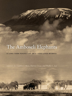 cover image of The Amboseli Elephants